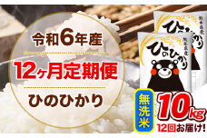 令和6年産【12ヵ月定期便】 無洗米 ひのひかり 定期便 10kg 5kg×2袋《お申込み翌月から出荷開始》 熊本県産 精米 ひの 米 こめ ヒノヒカリ コメ お米 