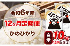 令和6年産【12ヵ月定期便】 白米 ひのひかり 定期便 10kg 5kg×2袋《お申込み翌月から出荷開始》 熊本県産 精米 ひの 米 こめ ヒノヒカリ コメ お米 