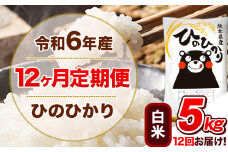 令和6年産 【12ヵ月定期便】 白米 ひのひかり 定期便 5kg 5kg×1袋《お申込み翌月から出荷開始》 熊本県産 精米 ひの 米 こめ ヒノヒカリ コメ お米