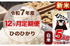 新米 令和7年産【12ヵ月定期便】 白米 ひのひかり 定期便 5kg 5kg×1袋《お申込み翌月から出荷開始》 熊本県産 精米 ひの 米 こめ ヒノヒカリ コメ お米