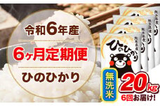 令和6年産 【6ヵ月定期便】 無洗米 ひのひかり 定期便 20kg 5kg×4袋《お申込み翌月から出荷開始》 熊本県産 精米 ひの 米 こめ ヒノヒカリ コメ お米