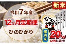 新米 令和7年産 【12ヵ月定期便】 無洗米 ひのひかり 定期便 20kg 5kg×4袋《お申込み翌月から出荷開始》 熊本県産 精米 ひの 米 こめ ヒノヒカリ コメ お米