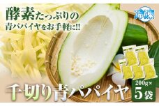青パパイヤ 千切り 200g×5袋 ゆいやわす《30日以内に出荷予定(土日祝除く）》熊本県 葦北郡 津奈木町 パパイヤ パパイア 野菜 健康野菜 国産 人気 お味噌汁 炒め物 サラダ に 酵素 食物繊維 たっぷり