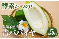 パパイヤ 青パパイヤ パパイア 野菜 健康野菜 5kg ゆいやわす《9月下旬-12月中旬頃出荷》熊本県 葦北郡 津奈木町 国産 人気 お試し カレー お味噌汁 炒め物 サラダ に 酵素 食物繊維 たっぷり
