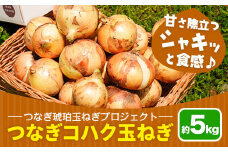 玉ねぎ つなぎコハク玉ねぎ 5kg《4月中旬-5月中旬出荷》熊本県 葦北郡 津奈木町 つなぎ琥珀玉ねぎプロジェクト 野菜 たまねぎ