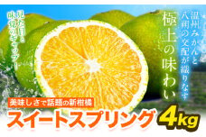スイートスプリング 4kg 熊本県産 送料無料 旬 の みかん 熊本産 取り寄せ (3L～Sサイズ/3L-S混合) 《12月下旬～1月下旬出荷》熊本県 津奈木町 柑橘 希少品種 スイートスプリング 柑橘 果物 スイスプ 旬 の みかん 柑橘 温州みかん