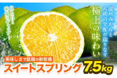 スイートスプリング 7.5kg 熊本県産 送料無料 旬 の みかん 熊本産 取り寄せ (3L～Sサイズ/3L-S混合) 《12月下旬～1月下旬出荷》熊本県 津奈木町 柑橘 希少品種 スイートスプリング 柑橘 果物 スイスプ 旬 の みかん 柑橘 温州みかん