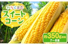 スイートコーン 7～8本 350g前後 わらく農園《6月中旬-6月下旬頃出荷》熊本県 葦北郡 津奈木町 とうもろこし コーン 送料無料