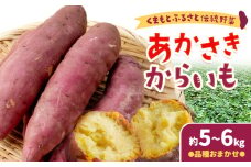 あかさきからいも 約5kgから6kg 品種おまかせ わらく農園《2025年11月中旬-11月下旬頃出荷》熊本県 葦北郡 津奈木町 さつまいも サツマイモ からいも くまもとふるさと伝統野菜