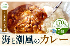 海と潮風のカレー 850g (170g × 5個) ゆいやわす《6月下旬頃から出荷》熊本県 葦北郡 津奈木町 カレー 簡単調理 つなぎFARM サラダ玉ねぎ使用