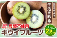 キウイフルーツ 2.5kg ゆいやわす《30日以内に出荷予定(土日祝除く)》熊本県 葦北郡 津奈木町 キウイ フルーツ 新鮮 食物繊維 国産