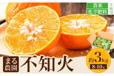 先行予約 不知火 約3kg まる農園《2026年4月上旬～4月末頃出荷予定》熊本県 津奈木町 青果物 デコポン みかん しらぬい 果物 フルーツ 