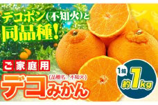 デコポン ( 不知火 )と同品種！デコみかん 熊本県産 (津奈木町産含む) 訳あり 約1kg前後 柑橘《2月中旬-4月末頃出荷》 みかん フルーツ 不知火 先行予約 訳あり 訳アリ ご家庭用 でこみかん 果物 予約受付
