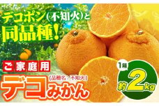 デコポン ( 不知火 )と同品種！デコみかん 熊本県産 (津奈木町産含む) 訳あり 約2kg前後 柑橘《2月中旬-4月末頃出荷》 みかん フルーツ 不知火 先行予約 訳あり 訳アリ ご家庭用 でこみかん 果物 予約受付