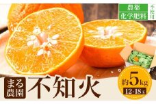 先行予約 不知火 約5kg 12-18玉入り まる農園《2025年11月中旬-2026年1月中旬頃出荷》熊本県 津奈木町 青果物 デコポン みかん しらぬい 果物 フルーツ