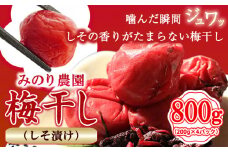 うめぼし 800g (しそ漬け)《30日以内に出荷予定(土日祝除く)》熊本県 葦北郡 津奈木町 梅 梅干し 天日干し みのり農園 