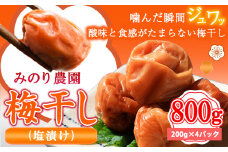 うめぼし 800g（塩）《30日以内に出荷予定(土日祝除く)》熊本県 葦北郡 津奈木町 梅 梅干し 天日干し みのり農園 