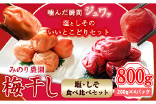 うめぼし(紅白) 800g《30日以内に出荷予定(土日祝除く)》熊本県 葦北郡 津奈木町 梅 梅干し 天日干し みのり農園 