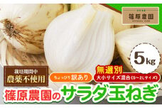  訳あり 栽培期間中 農薬不使用 サラダ玉ねぎ (S-2Lサイズ) 5kg《2月中旬-3月下旬頃出荷》熊本県 葦北郡 津奈木町 篠原農園 野菜 玉ねぎ たまねぎ 自然栽培 大小サイズ混合 ちょっと訳あり