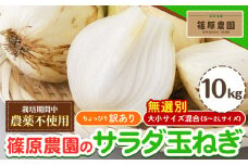  訳あり 栽培期間中 農薬不使用 サラダ玉ねぎ (S-2Lサイズ) 10kg《2月中旬-3月下旬頃出荷》熊本県 葦北郡 津奈木町 篠原農園 野菜 玉ねぎ たまねぎ 自然栽培 大小サイズ混合 ちょっと訳あり