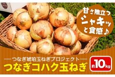 玉ねぎ つなぎコハク玉ねぎ 約10kg《4月中旬-5月中旬出荷》熊本県 葦北郡 津奈木町 つなぎ琥珀玉ねぎプロジェクト 野菜 たまねぎ