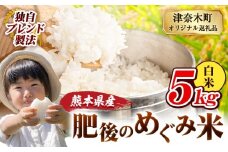 白米 熊本県産 ブレンド米 肥後のめぐみ米 5kg 熊本県産 ふるさと納税 精米 米 こめ ふるさとのうぜい コメ お米 おこめ《9月下旬-11月上旬頃出荷》