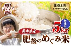 無洗米 熊本県産 ブレンド米 肥後のめぐみ米 5kg 熊本県産 ふるさと納税 精米 米 こめ ふるさとのうぜい コメ お米 おこめ《9月下旬-11月上旬頃出荷》