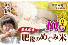 白米 熊本県産 ブレンド米 肥後のめぐみ米 10kg 熊本県産 ふるさと納税 精米 米 こめ ふるさとのうぜい コメ お米 おこめ《9月下旬-11月上旬頃出荷》