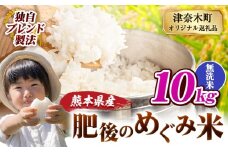 無洗米 熊本県産 ブレンド米 肥後のめぐみ米 10kg 熊本県産 ふるさと納税 精米 米 こめ ふるさとのうぜい コメ お米 おこめ《9月下旬-11月上旬頃出荷》