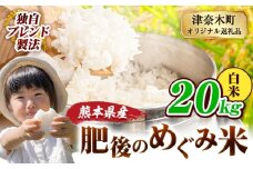 白米 熊本県産 ブレンド米 肥後のめぐみ米 20kg 熊本県産 ふるさと納税 精米 米 こめ ふるさとのうぜい コメ お米 おこめ《9月下旬-11月上旬頃出荷》