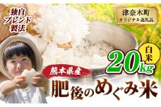 白米 熊本県産 ブレンド米 肥後のめぐみ米 20kg 熊本県産 ふるさと納税 精米 米 こめ ふるさとのうぜい コメ お米 おこめ《10月中旬-12月末頃出荷》