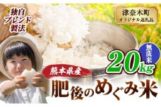 無洗米 熊本県産 ブレンド米 肥後のめぐみ米 20kg 熊本県産 ふるさと納税 精米 米 こめ ふるさとのうぜい コメ お米 おこめ《9月下旬-11月上旬頃出荷》
