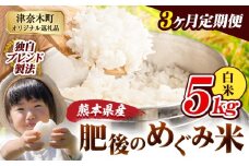 【3ヶ月定期便】白米 熊本県産 ブレンド米 肥後のめぐみ米 5kg 熊本県産 ふるさと納税 精米 米 こめ ふるさとのうぜい コメ お米 おこめ《申込月の翌月から出荷開始》
