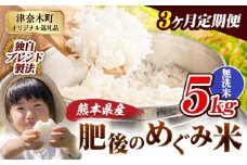 【3ヶ月定期便】無洗米 熊本県産 ブレンド米 肥後のめぐみ米 5kg 熊本県産 ふるさと納税 精米 米 こめ ふるさとのうぜい コメ お米 おこめ《申込月の翌月から出荷開始》