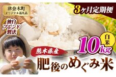 【3ヶ月定期便】白米 熊本県産 ブレンド米 肥後のめぐみ米 10kg 熊本県産 ふるさと納税 精米 米 こめ ふるさとのうぜい コメ お米 おこめ《申込月の翌月から出荷開始》