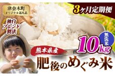 【3ヶ月定期便】無洗米 熊本県産 ブレンド米 肥後のめぐみ米 10kg 熊本県産 ふるさと納税 精米 米 こめ ふるさとのうぜい コメ お米 おこめ《申込月の翌月から出荷開始》