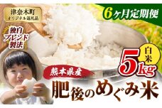 【6ヶ月定期便】白米 熊本県産 ブレンド米 肥後のめぐみ米 5kg 熊本県産 ふるさと納税 精米 米 こめ ふるさとのうぜい コメ お米 おこめ《申込月の翌月から出荷開始》