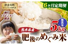 【6ヶ月定期便】無洗米 熊本県産 ブレンド米 肥後のめぐみ米 5kg 熊本県産 ふるさと納税 精米 米 こめ ふるさとのうぜい コメ お米 おこめ《申込月の翌月から出荷開始》