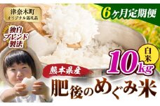 【6ヶ月定期便】白米 熊本県産 ブレンド米 肥後のめぐみ米 10kg 熊本県産 ふるさと納税 精米 米 こめ ふるさとのうぜい コメ お米 おこめ《申込月の翌月から出荷開始》