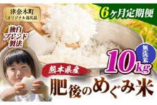 【6ヶ月定期便】無洗米 熊本県産 ブレンド米 肥後のめぐみ米 10kg 熊本県産 ふるさと納税 精米 米 こめ ふるさとのうぜい コメ お米 おこめ《申込月の翌月から出荷開始》