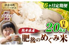 【6ヶ月定期便】白米 熊本県産 ブレンド米 肥後のめぐみ米 20kg 熊本県産 ふるさと納税 精米 米 こめ ふるさとのうぜい コメ お米 おこめ《申込月の翌月から出荷開始》