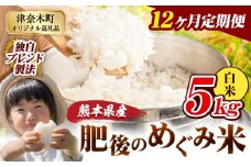 【12ヶ月定期便】白米 熊本県産 ブレンド米 肥後のめぐみ米 5kg 熊本県産 ふるさと納税 精米 米 こめ ふるさとのうぜい コメ お米 おこめ《申込月の翌月から出荷開始》