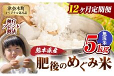 【12ヶ月定期便】無洗米 熊本県産 ブレンド米 肥後のめぐみ米 5kg 熊本県産 ふるさと納税 精米 米 こめ ふるさとのうぜい コメ お米 おこめ《申込月の翌月から出荷開始》