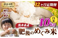 【12ヶ月定期便】白米 熊本県産 ブレンド米 肥後のめぐみ米 10kg 熊本県産 ふるさと納税 精米 米 こめ ふるさとのうぜい コメ お米 おこめ《申込月の翌月から出荷開始》