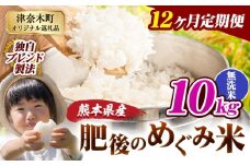 【12ヶ月定期便】無洗米 熊本県産 ブレンド米 肥後のめぐみ米 10kg 熊本県産 ふるさと納税 精米 米 こめ ふるさとのうぜい コメ お米 おこめ《申込月の翌月から出荷開始》