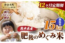 【12ヶ月定期便】無洗米 熊本県産 ブレンド米 肥後のめぐみ米 15kg 熊本県産 ふるさと納税 精米 米 こめ ふるさとのうぜい コメ お米 おこめ《申込月の翌月から出荷開始》