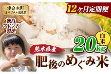 【12ヶ月定期便】白米 熊本県産 ブレンド米 肥後のめぐみ米 20kg 熊本県産 ふるさと納税 精米 米 こめ ふるさとのうぜい コメ お米 おこめ《申込月の翌月から出荷開始》