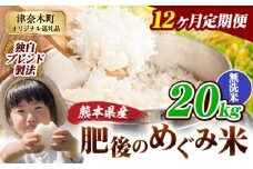 【12ヶ月定期便】無洗米 熊本県産 ブレンド米 肥後のめぐみ米 20kg 熊本県産 ふるさと納税 精米 米 こめ ふるさとのうぜい コメ お米 おこめ《申込月の翌月から出荷開始》
