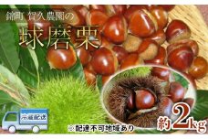 栗 草生栽培で育てた賀久農園の球磨栗 約2kg 2025年発送 配送不可 離島
