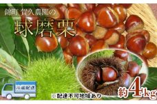 栗 草生栽培で育てた賀久農園の球磨栗 約4kg 2025年発送 配送不可 離島